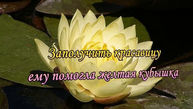 Легенды о цветах Кувшинка смотреть онлайн