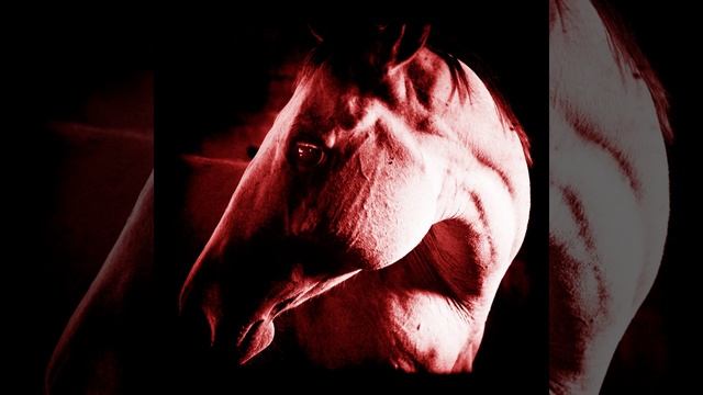 How to Kill a Horse смотреть онлайн