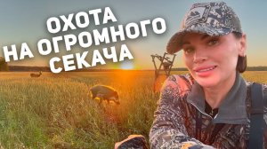 ДВА ДНЯ ОХОТЫ НА СКЛАДНОЙ ВЫШКЕ | В ПОИСКАХ КАБАНА 🐗