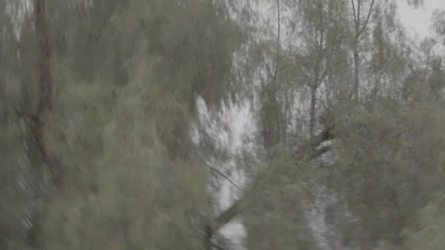 Billie Eilish - CHIHIRO