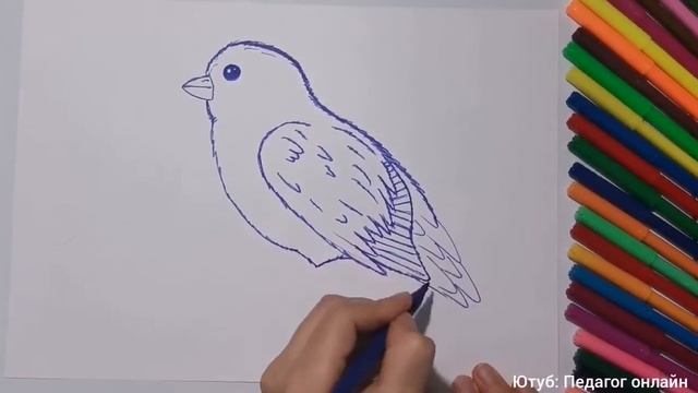Рисуем птичку. Уроки рисования для детей. Простые рисунки смотреть онлайн