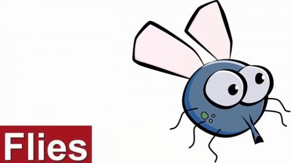 Insects Vocabulary in English | Learn Insect Names