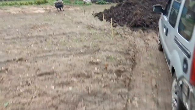 Сажаем жимолость. Копаем удобряем. смотреть онлайн