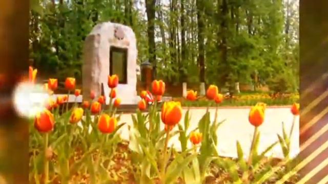 20 мая 2017 г. смотреть онлайн