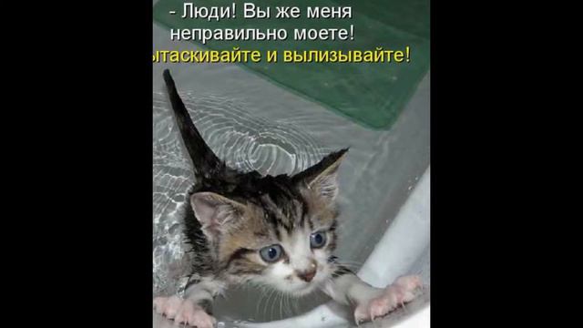 что такое мир смотреть онлайн