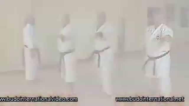 OKINAWA  SHIMA HA SHORIN-RYU KARATE-JUTSU