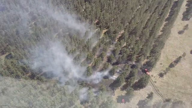 21.06.2017 года на территории ГРУ ГЛПР "Ертiс орманы" возник лесной пожар. смотреть онлайн