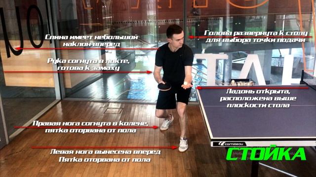 Подача плоская v2.0 Подробный разбор выполнения пустой подачи в настольном теннисе. смотреть онлайн