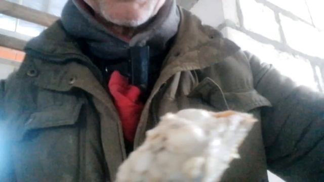 Последний день... я домой восток... смотреть онлайн