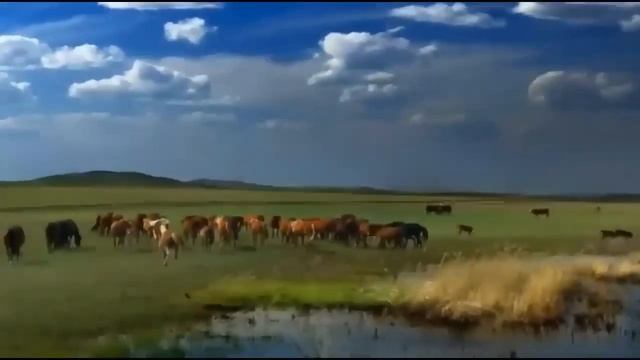 СО СЛЕЗАМИ! РУССКАЯ БАБУШКА ПОТРЯС СВОИМ ВЫСКАЗЫВАНИЕМ ВЕСЬ КАЗАХОВ! смотреть онлайн