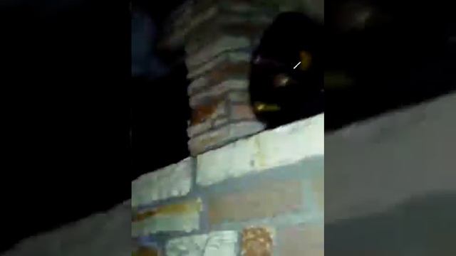 Io come giocavo con le figurine l anno scorso vs qest anno смотреть онлайн