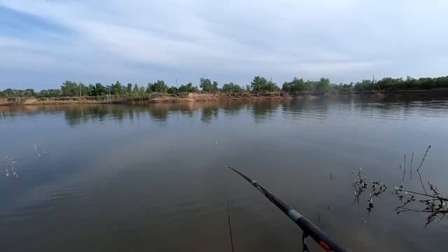 Рыбалка на поплавок 31 мая!Дикая рыбалка на поплавочнную удочку!Карась не дал скучать... смотреть онлайн