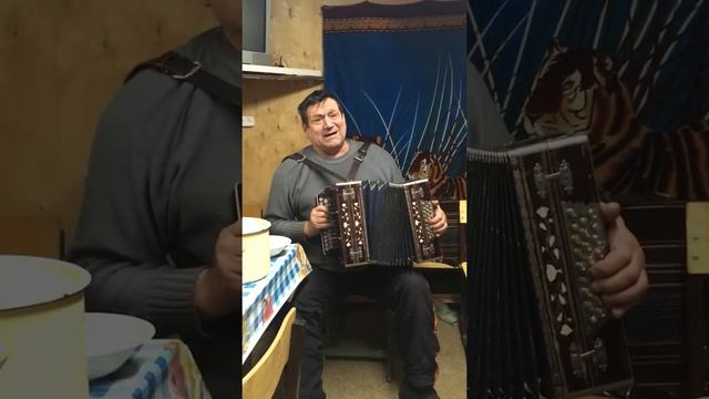 В гостях у гармониста Анатолий Святов - Любишь или не любишь смотреть онлайн