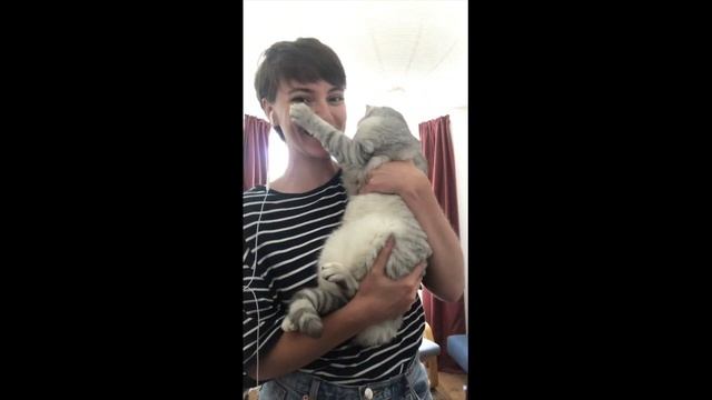 School 21 Primary Festival of Light Concert 2020 смотреть онлайн