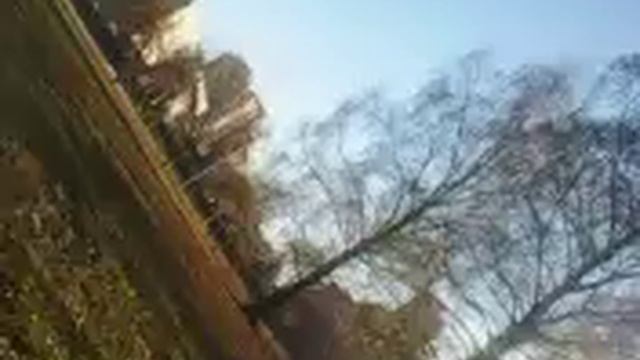 Выпуск 20-Народный парк На Собачках часть 2 смотреть онлайн