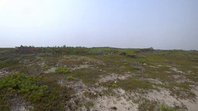 Рыбалка Сахалин,Ноглики река Вал 28 09 2022г смотреть онлайн