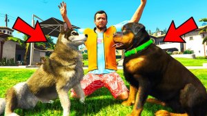 РАЗБОРКИ СОБАК НА УЛИЦЕ РЕАЛЬНАЯ ЖИЗНЬ в ГТА 5 МОДЫ! ОБЗОР МОДА в GTA 5 ВИДЕО MODS