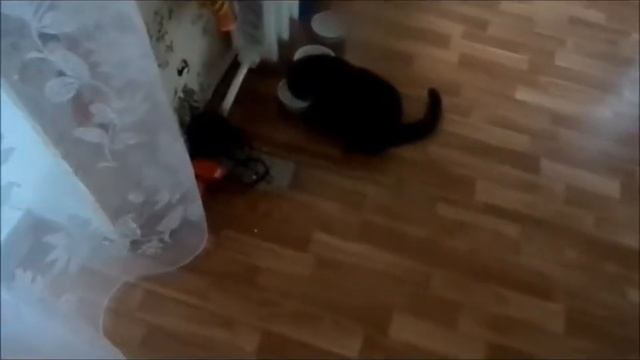 Мастерство и Инновации