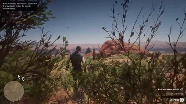 Red Dead Redemption 2 | ¡¡CABALLO ÚNICO LEGENDARIO!!! | MUSTANG Bayo atigrado смотреть онлайн