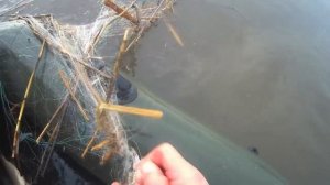рыбалка китайской сетью в разлив