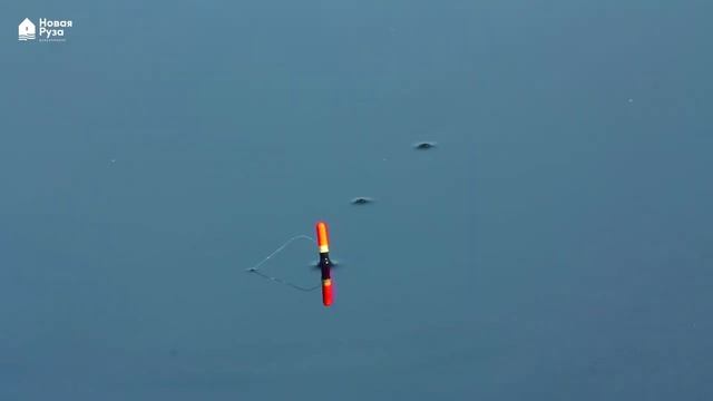 Каскадные пруды в поселке! Как отдыхать летом на даче! смотреть онлайн