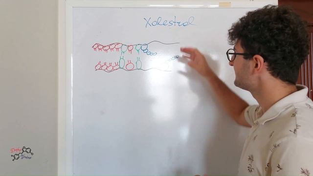 Hüceyrə Fiziologiyası: Hüceyrə Membranı (1) смотреть онлайн