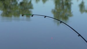 Рыбалка. Ловля леща ночью на Волге. Ловля леща на фидер на течении