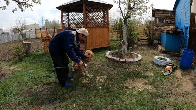 ВО ВРЕМЯ СТРОИТЕЛЬСТВА ДОМА СОСЕДИ ЕЛИ УСПЕЛИ#как СМОТРИТЕ БЫСТРЕЕ ОН ПОБИЛ ВСЕХ И ВСЕ!!! смотреть онлайн