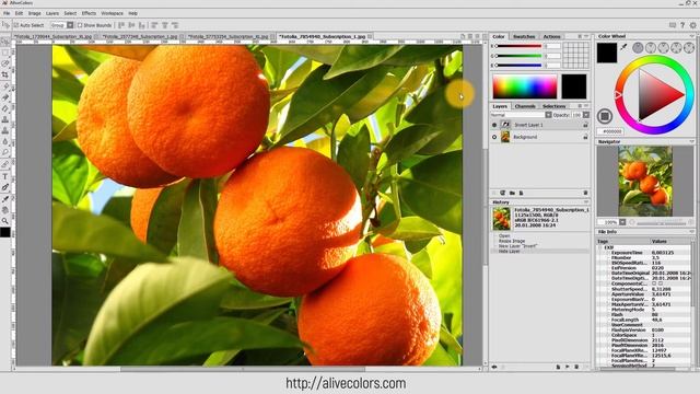 AliveColors: Invert Adjustment смотреть онлайн