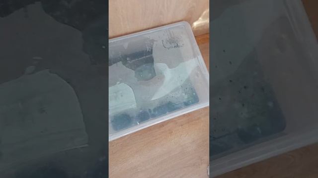 У меня беда, беда!не делайте моих ошибок!!! смотреть онлайн
