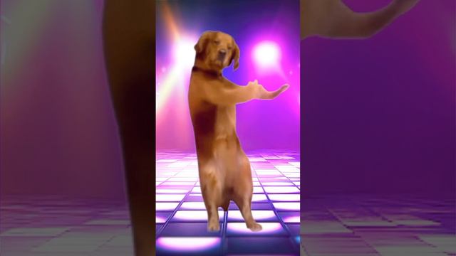 . смотреть онлайн