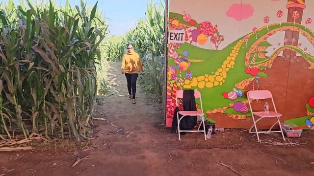 අපිත් එක්ක Pumpkin Patch/Corn Maze එකකට යමු ?? | Halloween Pumpkin Carving | Sinhala смотреть онлайн