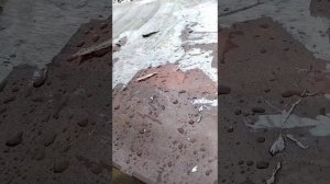 Как удалить старую пленку с монолитного поликарбоната...