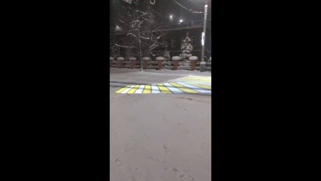 «Зебрадискотека» у Дворца Бракосочетания в Кирове смотреть онлайн
