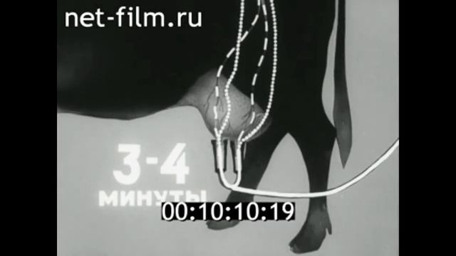 1975г. колхоз Заря коммунизма. село Пушкино. Эннс Иван Яковлевич. Омская обл. смотреть онлайн
