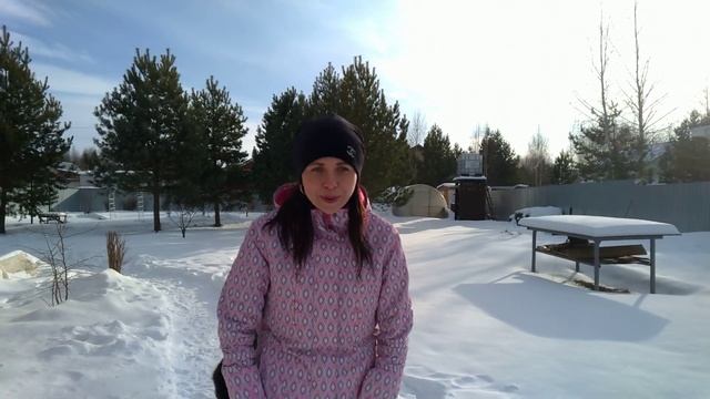 Ижевск дрессировка и воспитание собак.