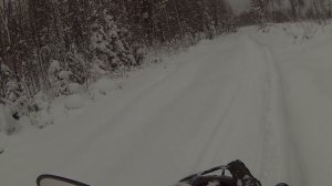 По Коми тайге на Тайге (Варяг 500) или охота без добычи.