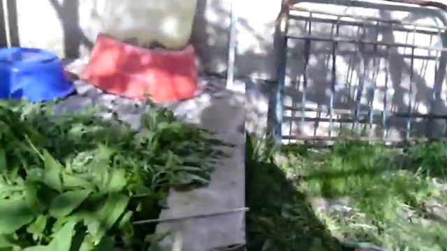 2 Золото из воды Железный купорос 5 смотреть онлайн