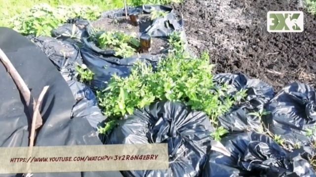 ПОДГОТОВКА КОМПОСТА ОСЕНЬЮ - ЛУЧШИЕ СОВЕТЫ смотреть онлайн