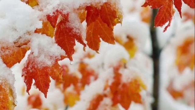 Богатеи подарили дочери живую куклу, а когда узнали, что та сделала с их девочкой... смотреть онлайн