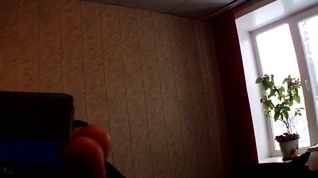 Знания и любовь к религии