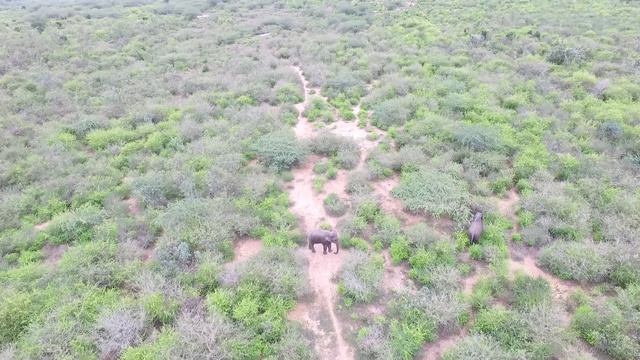 Hambantota Sri Lanka