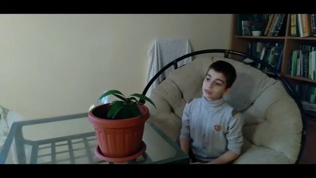 Выращивание манго!!!🥭 смотреть онлайн