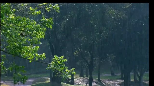 Rain Sounds For Sleeping - Instantly Fall Asleep With Rain And Thunder Sound