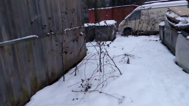 Ласка зимой смотреть онлайн
