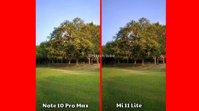 Mi 11 Lite VS Redmi Note 10 Pro Max Camera Comparison | Mi 11 Lite Camera Review |