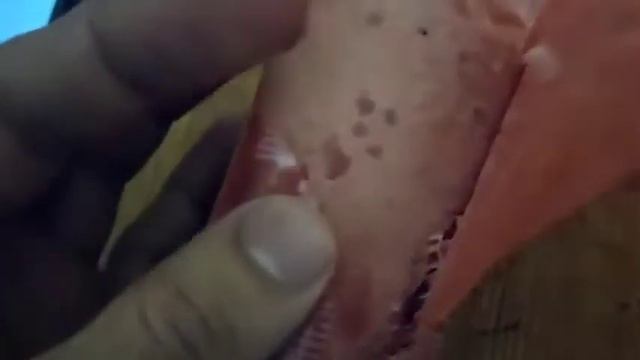 Колбаса халяль:Эхтиёт кунед дустони азиз смотреть онлайн