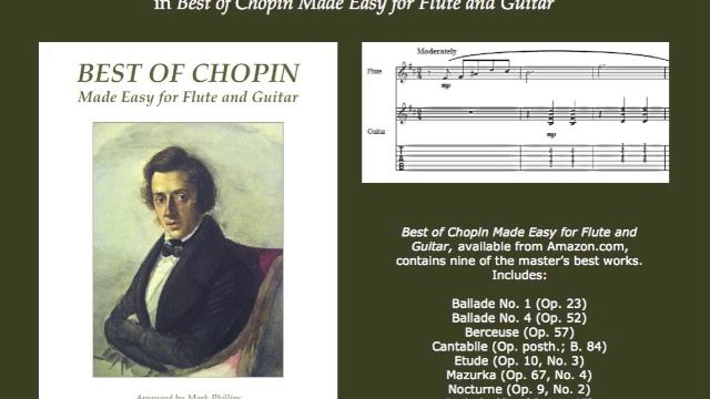 Chopin's "Ballade No. 1" for flute and guitar смотреть онлайн