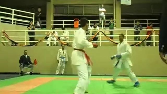 karate copa leão 2011 denis peres.AVI смотреть онлайн
