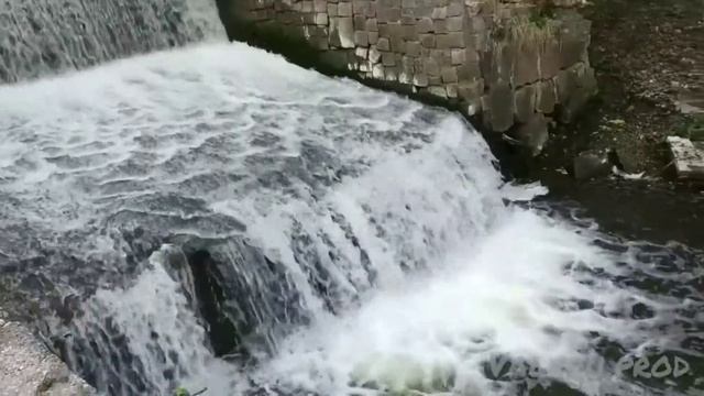 ПРЕКРАСНОЕ ВЕСЕННИЕ УТРО.